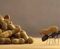 Người chịu được nỗi khổ tâm chí mới làm thành được việc lớn.