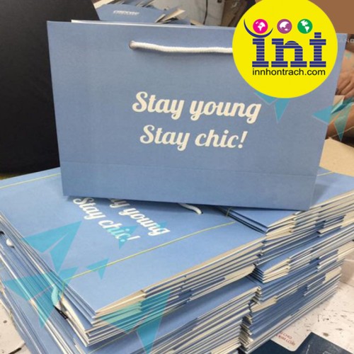 Mẫu Túi Giấy Sang Trọng Cho Shop Thời Trang