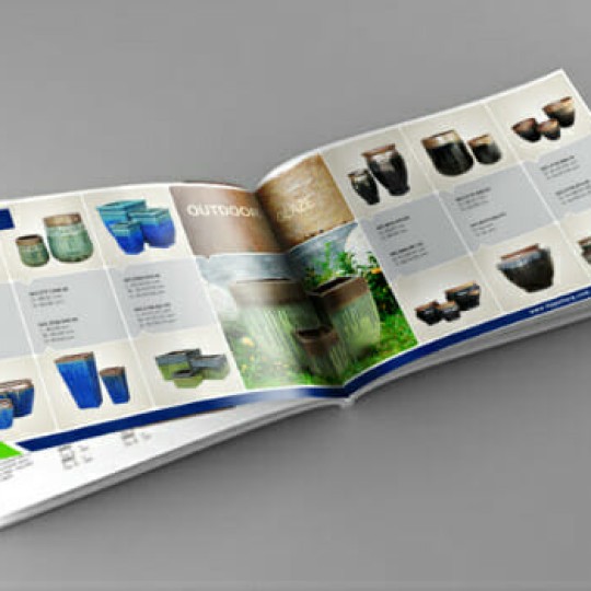 MẪU CATALOGUE DÁN KEO GÁY 