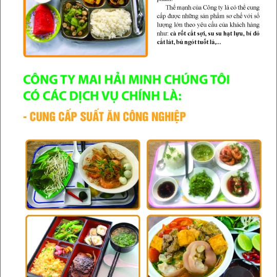 HỒ SƠ NĂNG LỰC SUẤT ĂN CÔNG NGHIÊP