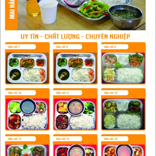 HỒ SƠ NĂNG LỰC SUẤT ĂN CÔNG NGHIÊP