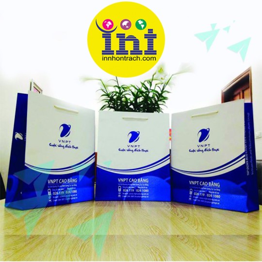 Mẫu Túi Giấy Dành Cho Doanh Nghiệp - Công Ty