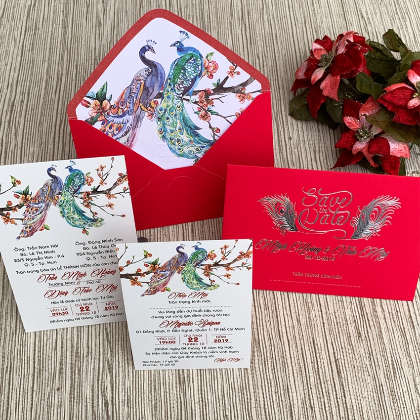 DQ2013-ĐỎ NHUNG