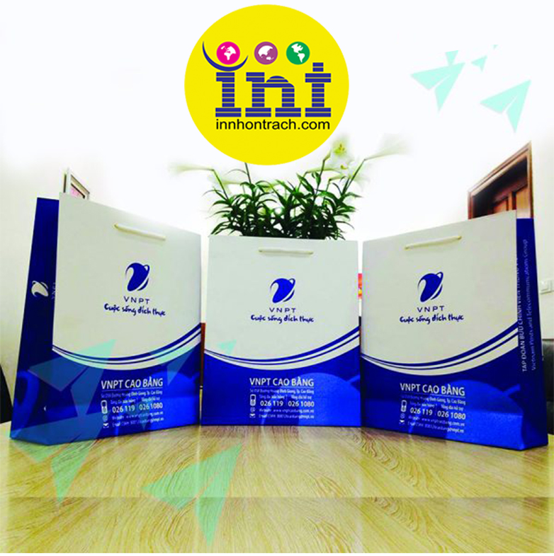 Mẫu Túi Giấy Dành Cho Doanh Nghiệp - Công Ty