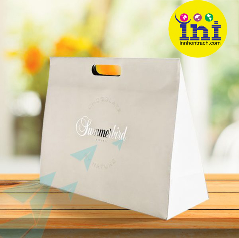 Túi Giấy Quai Đục Hạt Xoài – Mẫu túi giấy thương hiệu thời trang