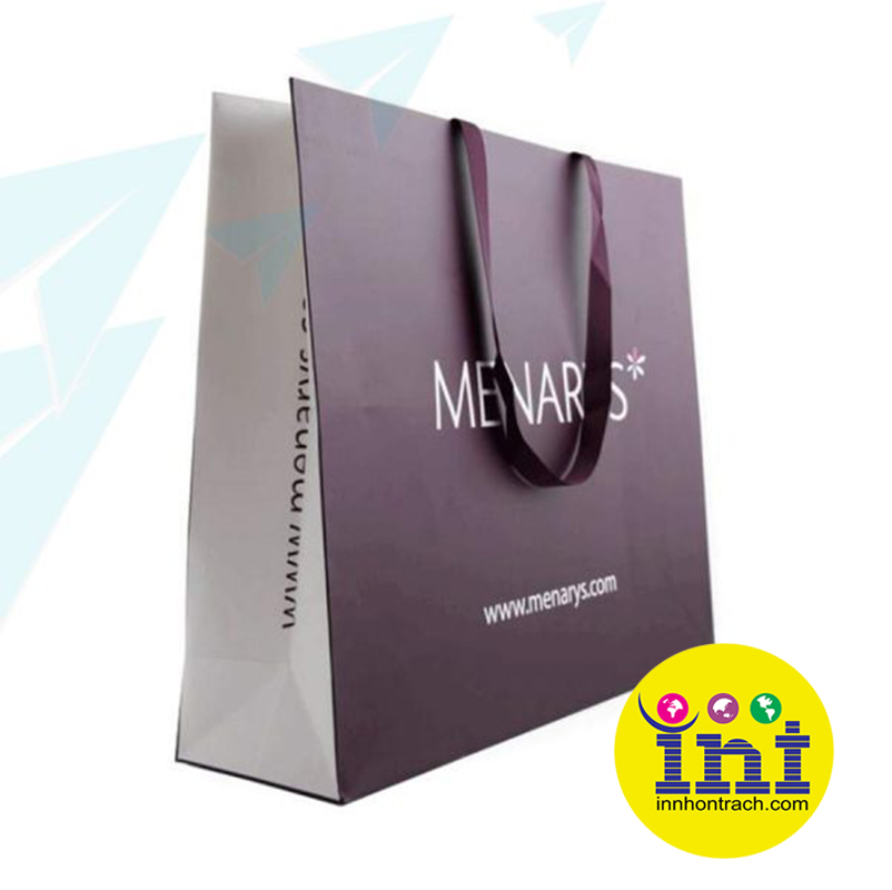 Túi Giấy Thời Trang Đẹp Nhất – Mẫu Túi Giấy Cho Shop